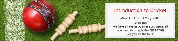 ball and wickets.JPG